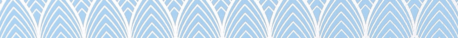 LENTILLES DE COULEUR BLEUE