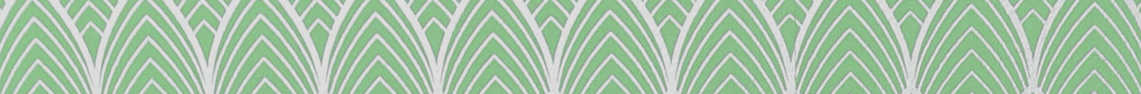 LENTILLES DE COULEUR VERTE