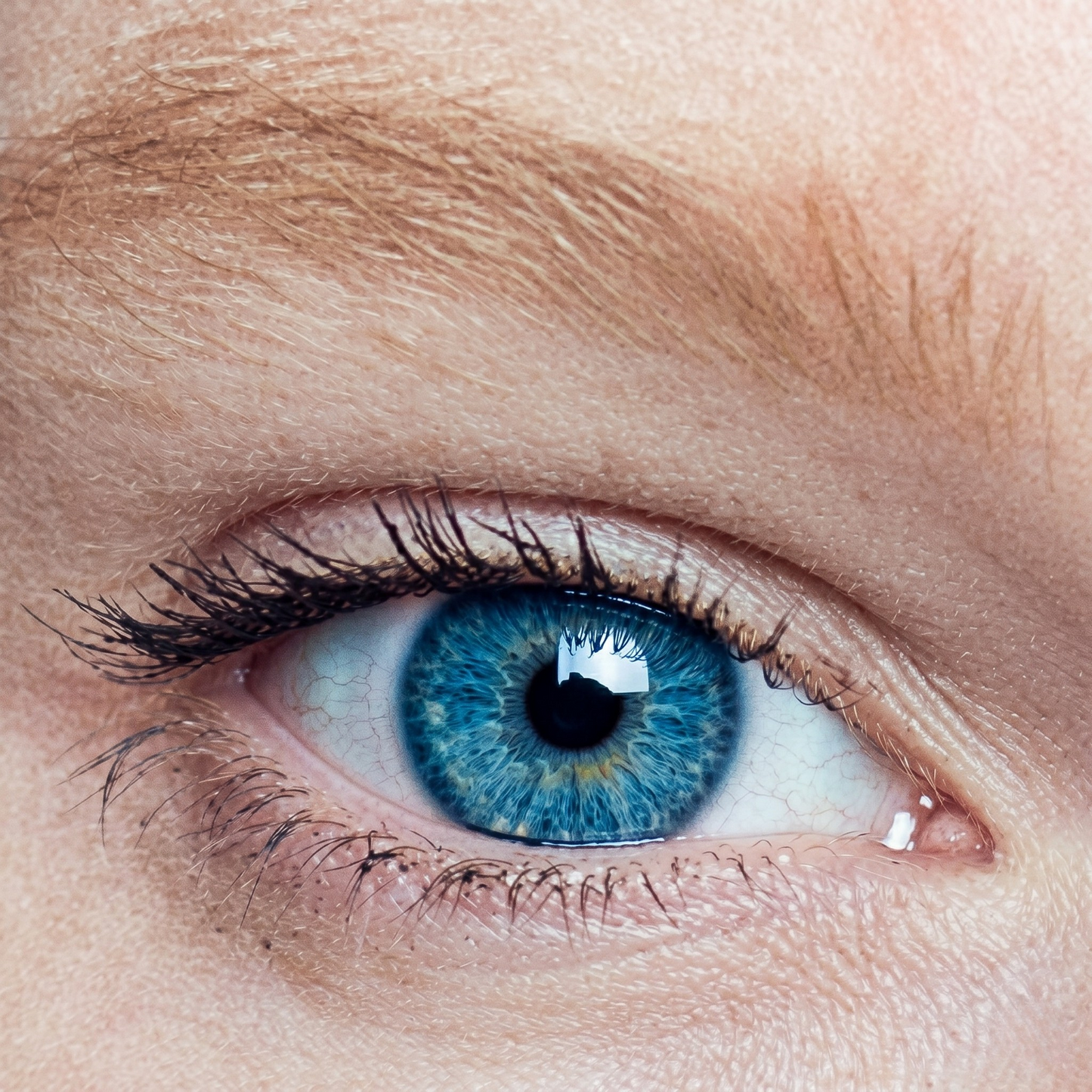 Lentilles de couleur Bleu vif avec correction - 3 mois