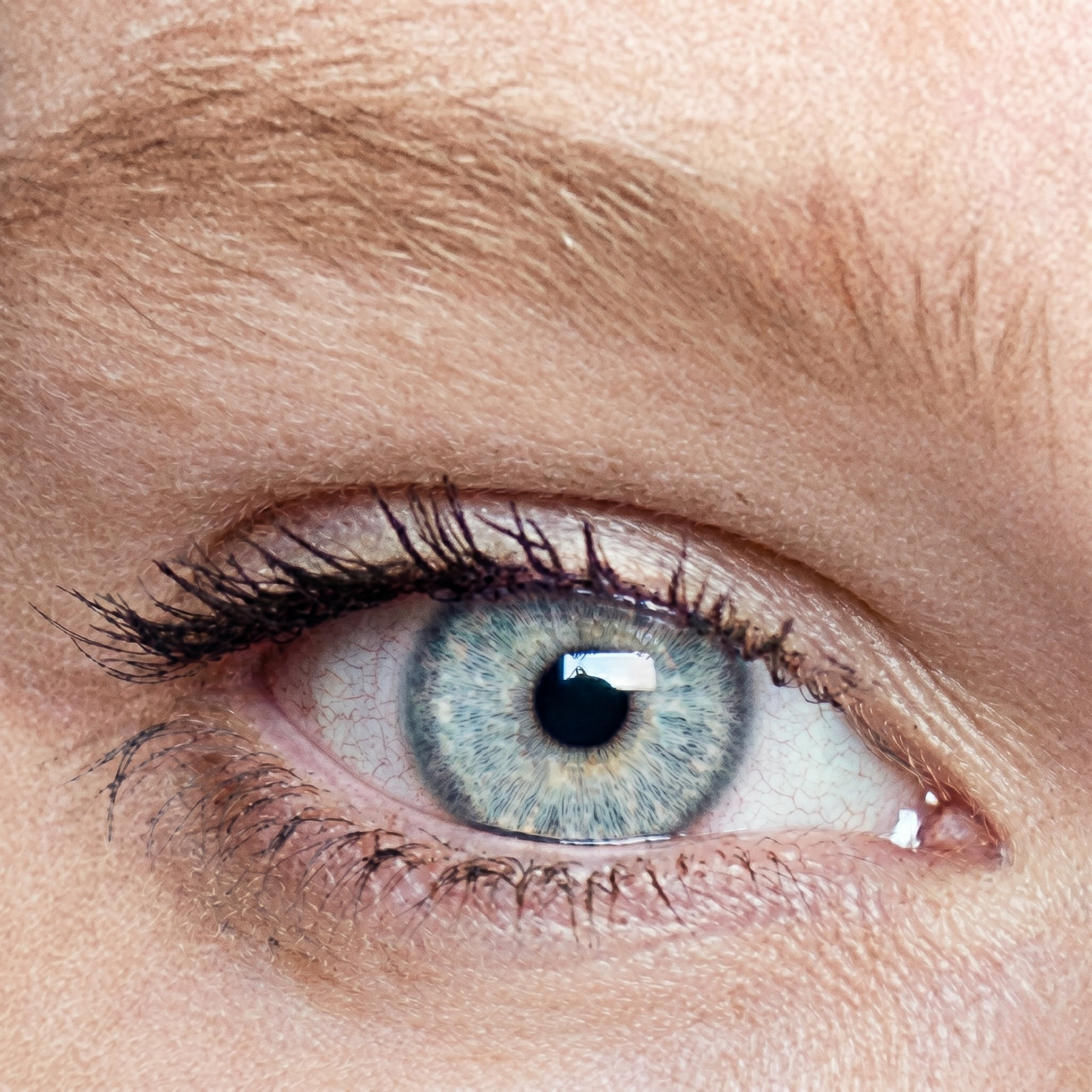 Lentilles de couleur Gris perle avec correction - 3 mois