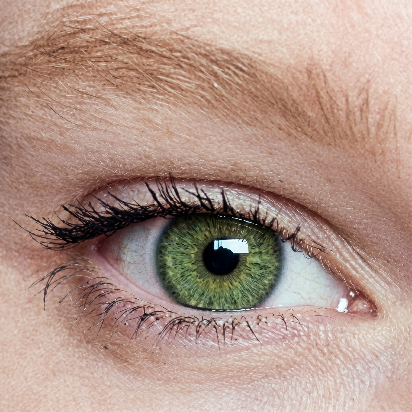 Lentilles de couleur Vert jade avec correction - 3 mois